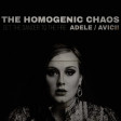 Adele vs. Avicii - Set the Dancer to the Fire