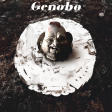 Peggy_P - Genobo (Genesis x Bonobo)