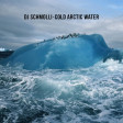 DJ Schmolli - Cold Arctic Water [2017]