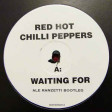 Red Hot Chilli Peppers - Waiting 4 (Ale Ranzetti Bootleg)