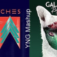 Runaway Mother (We Share) (CHVRCHES Vs. Galantis)