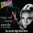 You Are My High Fever Witch (Peggy Lee vs. DJ Snake vs. Apashe ft. Alina Pash)