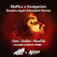 Marlo x Voolgarizm vs Seb Ingrosso & Alesso - Calling Again (Fabio Baldini MashUp)