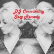 DJ CROSSABILITY - Sexy Remedy (Little Boots vs. Various Artists) (22 Sources Multi-mash)
