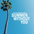 Summer Mashup 2019 (Summer without you)