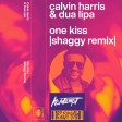 Calvin Harris Feat. Dua Lipa - One Kiss (Shaggy Remix)