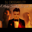 DJ CROSSABILITY - A Mashup Something Just Like This (The Chainsmokers & Coldplay vs. 14 Artists)