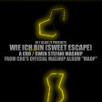 Wie Ich Bin (Sweet Escape) (Cro / Gwen Stefani)