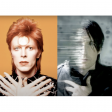 DAVID BOWIE - NINE INCH NAILS  The suffragette that feeds