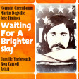 Waiting For A Brighter Sky (Greenbaum vs. Jiminez vs. Avicii vs. Ron Carroll vs. Camille Yarbrough)
