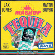 Jax Jones, Martin Solveig, RAYE & Ina Wroldsen - Breathe Tequila Mashup