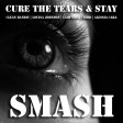 Cure The Tears & Stay (Clean Bandit ft. Louisa Johnson vs. Lady Gaga vs. Zedd, Alessia Cara)