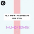 FELIX JAEHN X MIKE WILLIAMS - FEEL GOOD 2017 ( Mumdy Remix ) 135 Bpm