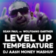 Sean Paul vs Wolfgang Gartner - Level Up Temperature (Dj AAsH Money Mashup)