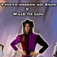 Walk of Life X Volevo essere un duro [Mashup]