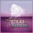 Anything Could Whistle Tonight (U2 vs Flo Rida vs Ellie Goulding)