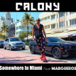 Somewhere in Miami (Feat Margueeos) (Original Mix)