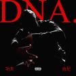 Kendrick Lamar vs Bomfunk MC's - Freestyle DNA
