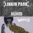 Fonky-M - Numb Artistes (Linkin Park Vs Santigold) (2020)