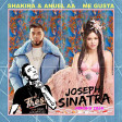 Shakira & Anuel AA x - Me Gusta (Joseph Sinatra Remake 2k20)