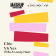 SKiBiLiBoP & Mashup Superstars - I'll Be Owner Of A Lonely Heart (Yes vs Chic)