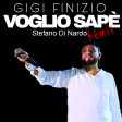 Gigi Finizio - Voglio sapè -Remix Stefano Di Nardo