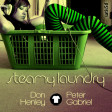 Don Henley vs Peter Gabriel - Steamy Laundry