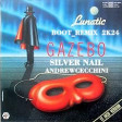 Gazebo - Lunatic  vs. Silver Nail  Andrew Cecchini  (Cover Mix)