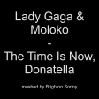 Lady Gaga & Moloko - The Time Is Now, Donatella (Brighton Sonny mashup)