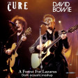 DoM - A forest for Lazarus (acoustic) (DAVID BOWIE vs THE CURE)