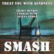 Treat You With Kindness (Shawn Mendes vs. Charlie Puth vs. Selena Gomez)