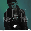 AVICII feat. DAN TYMINSKI - Hey, brother (DJ 491 techno remix 2023)