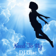 Lady Antebellum vs Céline Dion - Need To Fly (DJ Giac Mashup)