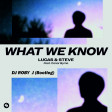 Lucas & Steve - What We Know (feat. Conor , DJ Roby J Bootleg)