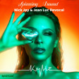 Kylie Minogue - Spinning Around (Nick Jay & Jean Luc Revocal Bootleg Mix)