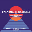 Dance Fruits Music, Anna - Calabria X Gasolina (Fafu dj & Roman JStreet mashup)