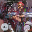 USS - Sexual-Telegraph ( Marvin Gaye VS The Eels)