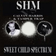 Swedish House Mafia vs. Calvin Harris, T. Trap - Sweet Child Spectrum (Tropea & Bonura Mash Up)