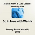 G. Morri & L. Cassani feat. Duke - So in love with Wa-Ha  (Tommy Stocca Mash Up)