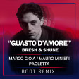 Bresh, SHUNE - Guasto D'Amore (Marco Gioia, Mauro Minieri, Paoletta Boot RMX)
