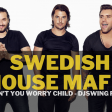 Swedish House Mafia - Don't You Worry Child (DJSWING REMIX)