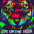 Survivor feat. The Mad Stuntmen - Eye of the Tiger ( Mumdy 'I like 2 move it ' Remix )