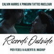 Calvin Harris x Pinguini tattici nucleari - Ricordi Outside (PierFedeli & Alberto B Mashup)