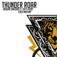Thunder Roar (iZigui Mashup) - Imagine Dragons ft. Katy Perry