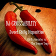 DJ CROSSABILITY - Sweet Chilly Disposition (Chilly Gonzales & Gemini Club vs. The Temper Trap)
