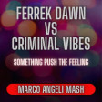 Ferreck Dawn Vs Criminal Viber - Something Push The Feeling (Marco Angeli Mash Up)