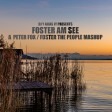 Foster Am See (Peter Fox / Foster The People)