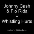 Johnny Cash & Flo Rida - Whistling Hurts (Brighton Sonny mashup)