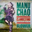 Flower - Clandestino Cover (original by Manu Chao)