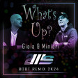 2Ms - What's up (Marco Gioia & Mauro Minieri Boot Radio Edit RMX)